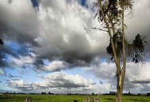 米乐M6官网：羅梅羅：伊布在更衣室和媒體面前同樣具有影響力，他讓隊友感受到他的氣場.