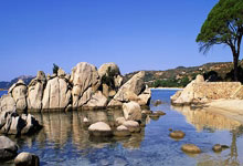 谁还敢质疑张伟丽!赛前不被看好又如何!绝对实力全程碾压,毋庸置疑!.